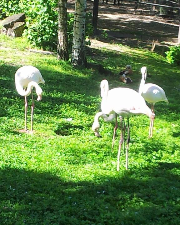 Tierpark-Restaurant